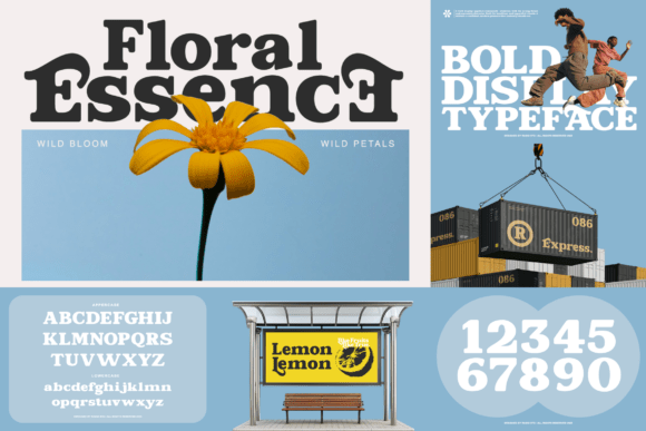 Bold Serif Bundle Font PNG with transparent background - Preview 6