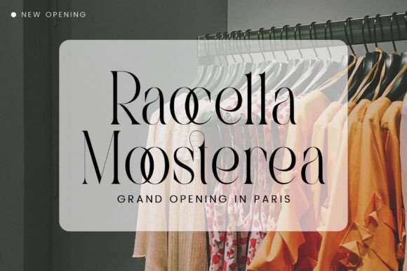 Castica Font - Preview 1