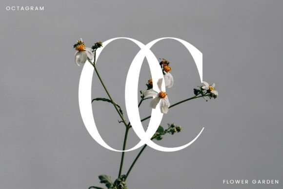 Castica Font - Preview 5