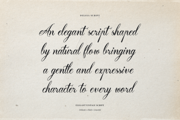 Delsya Script Font - Preview 1