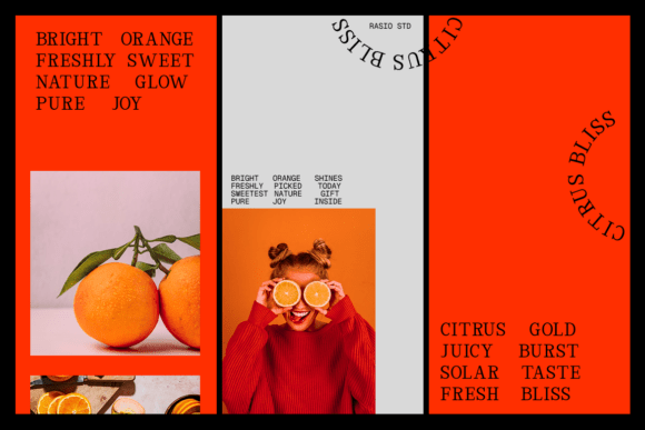 Rigidon Mono Font PNG with transparent background - Preview 4