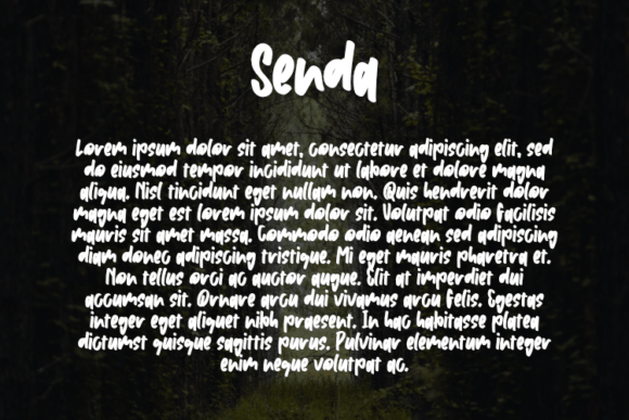 Senda Font PNG with transparent background - Preview 2