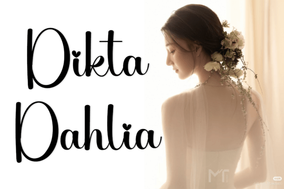 Amara Birthday Font - Preview 3