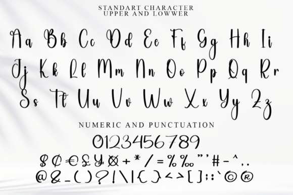 Biograph Teacher Font - Preview 4
