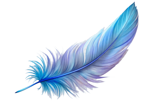 Close Up on Feather Png Isolated Graphic Illustrations By stockmarket