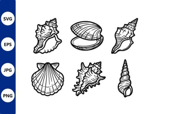 Line Art Ocean Shells