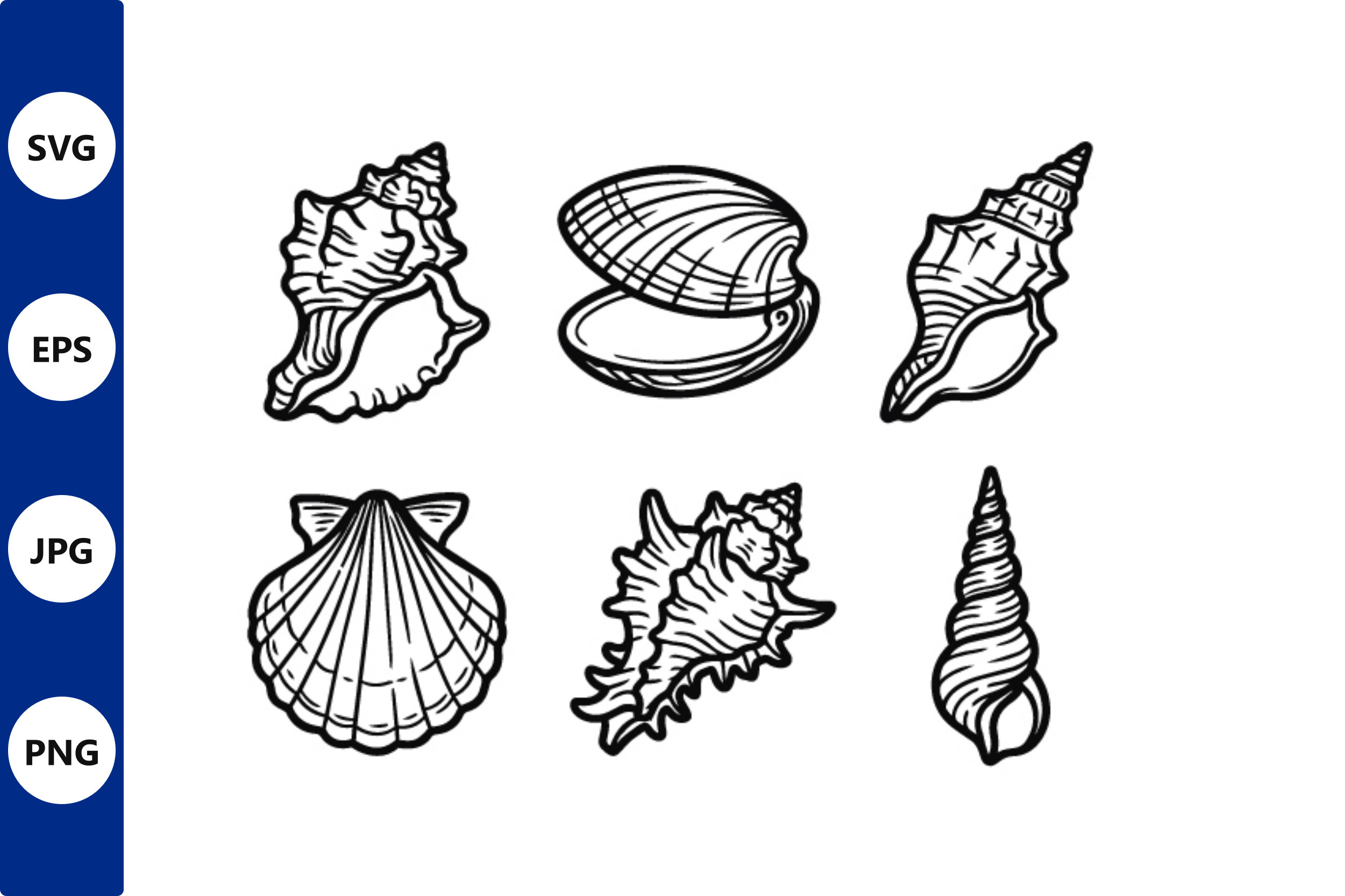 Line Art Ocean Shells