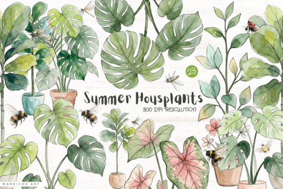 Summer Housplants Clipart