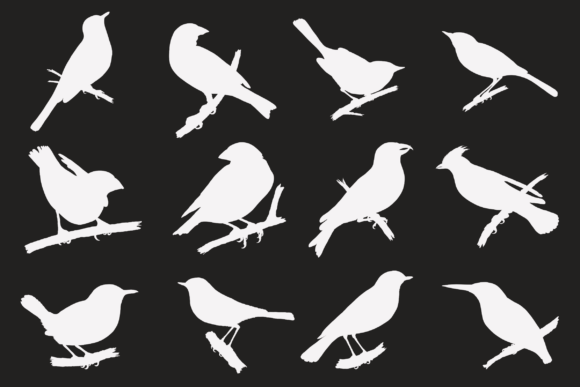 Hand Drawn Cage Bird Silhouettes (1/2)