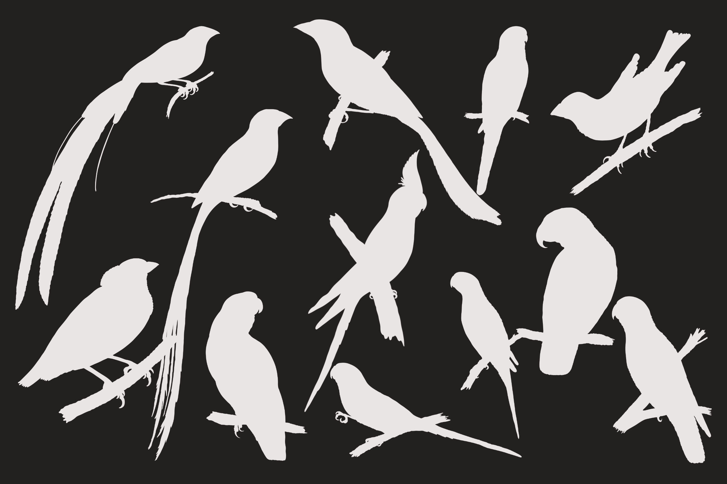 Hand Drawn Cage Bird Silhouettes (2/2)