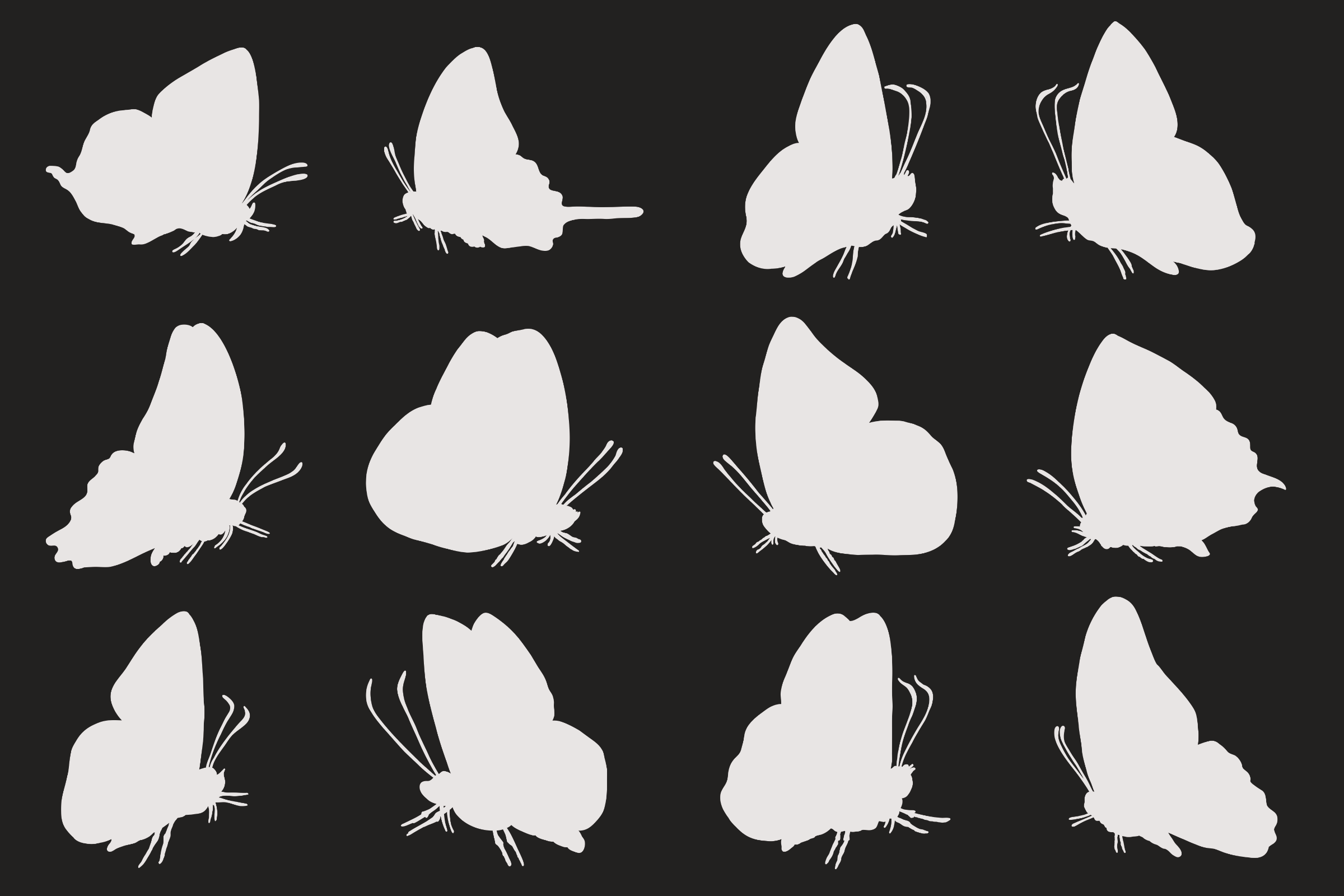 Butterfly Profile Silhouettes (1/3)