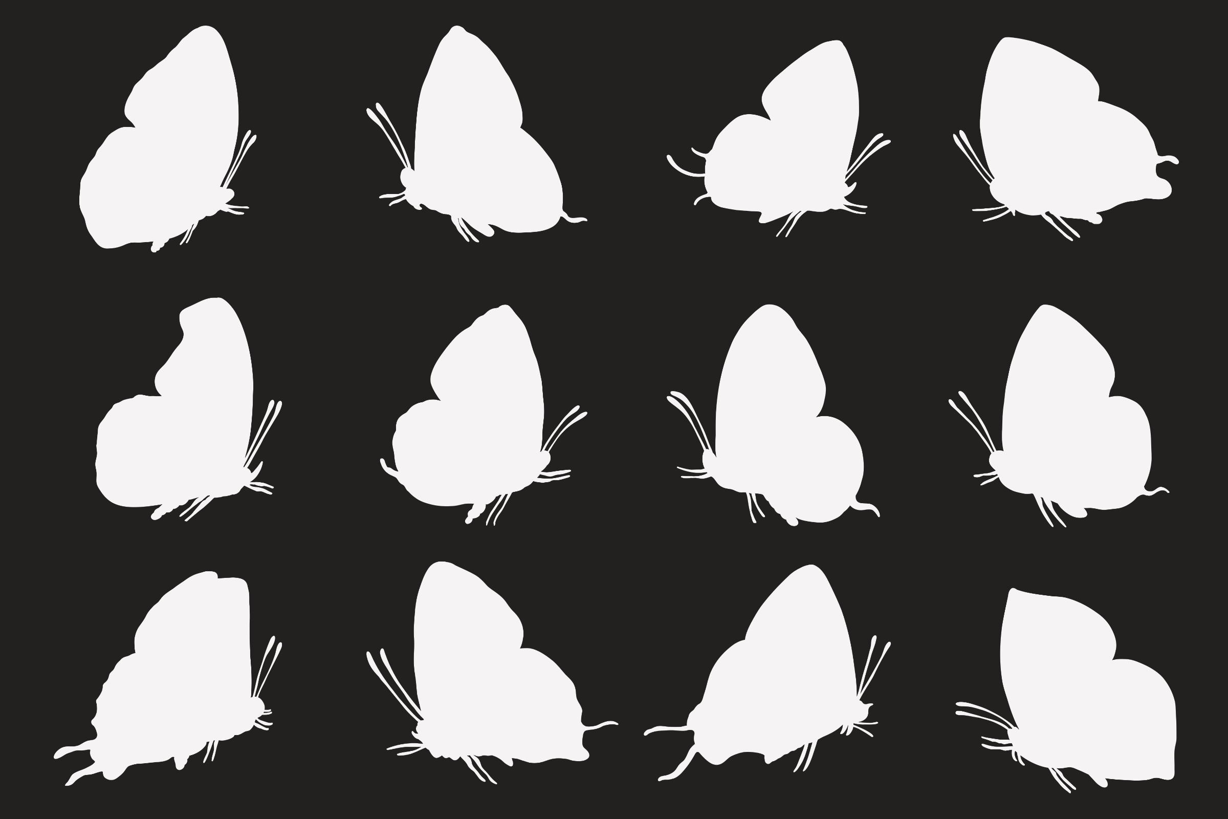 Butterfly Profile Silhouettes (2/3)