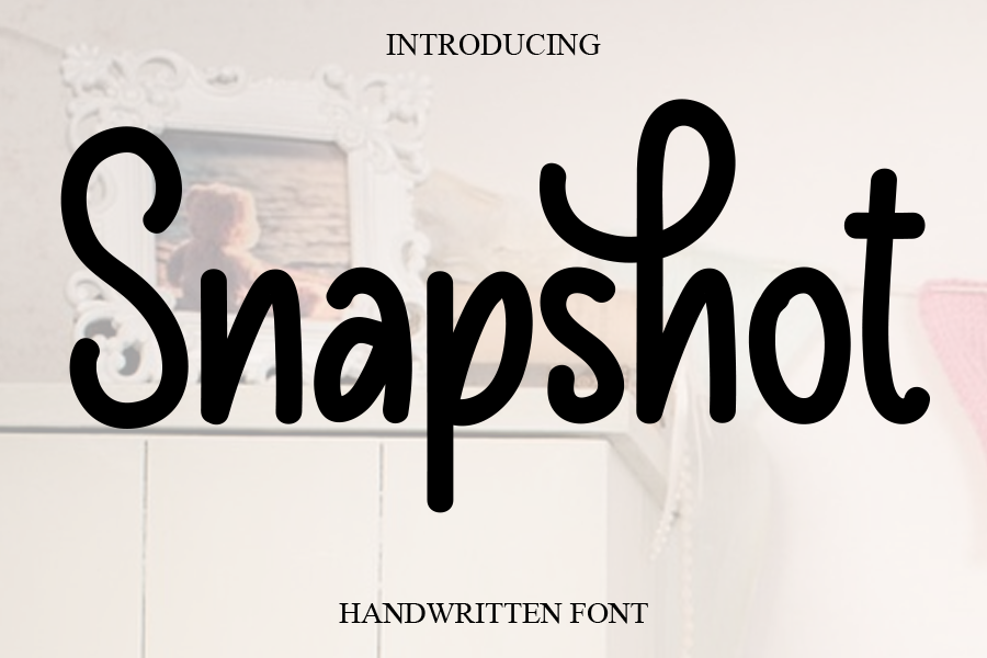Snapshot