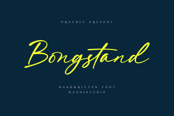 12 Script Font Commercial