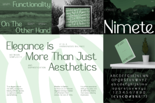 Elegant Sans Serif Bundle Font by Vadova Std · Creative Fabrica