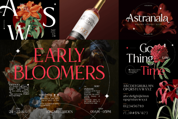 Elegant Serif Bundle Font - Preview 3