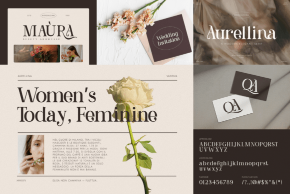 Elegant Serif Bundle Font - Preview 5