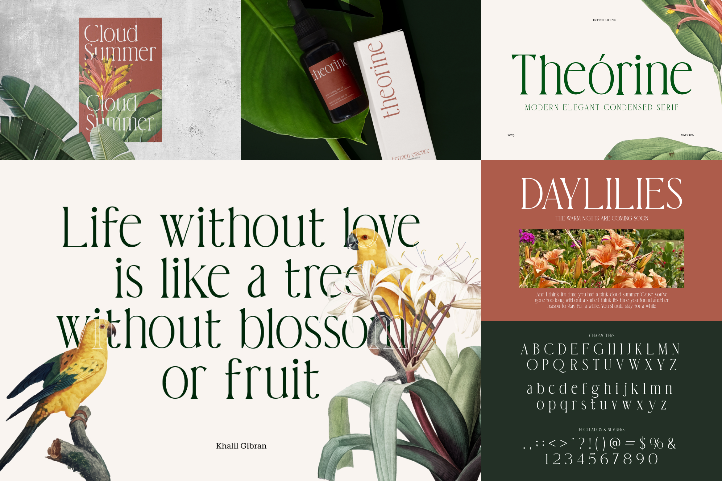 Elegant Serif Bundle Font - photo 8