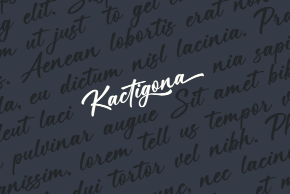 Kactigona Font font preview - 2