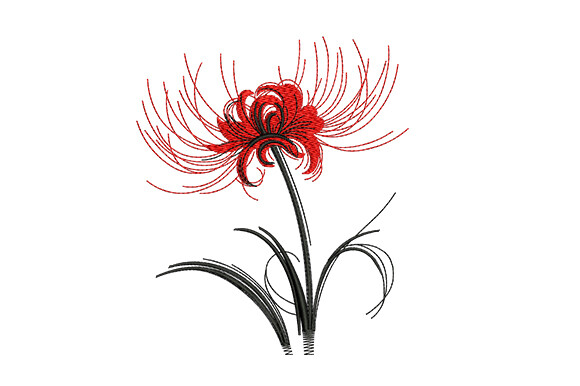 Red Spider Lily