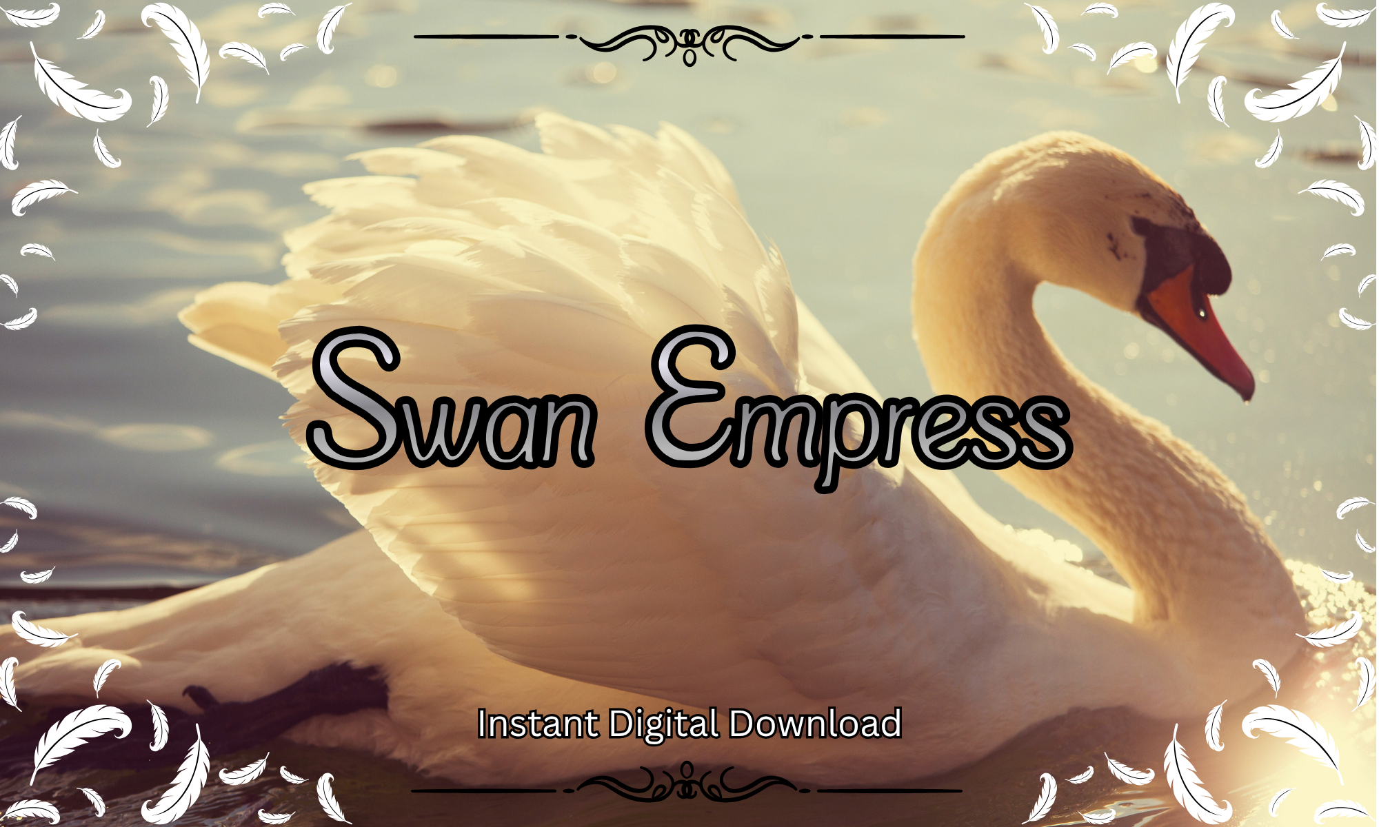 Swan Empress preview - elegant flourished script for invitations