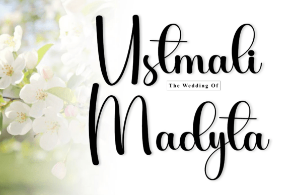 Hairbrush Font - Preview 3