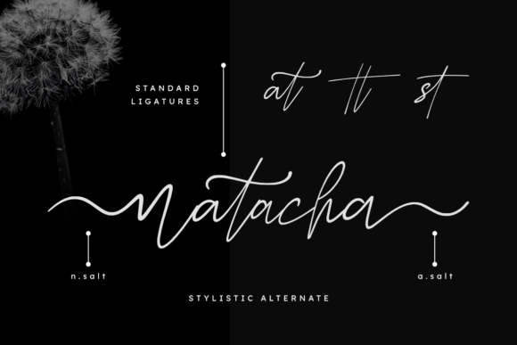 Natacha Font PNG with transparent background - Preview 2