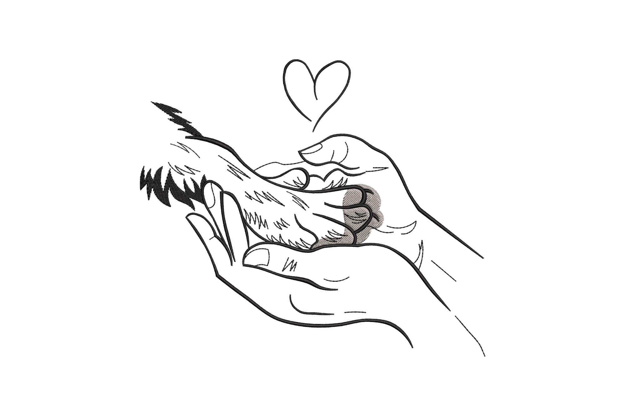 Dog Paw in Hands