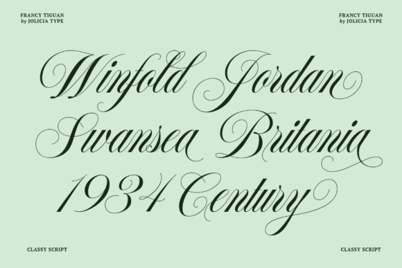 Francy Tiguan Font PNG with transparent background - Preview 1
