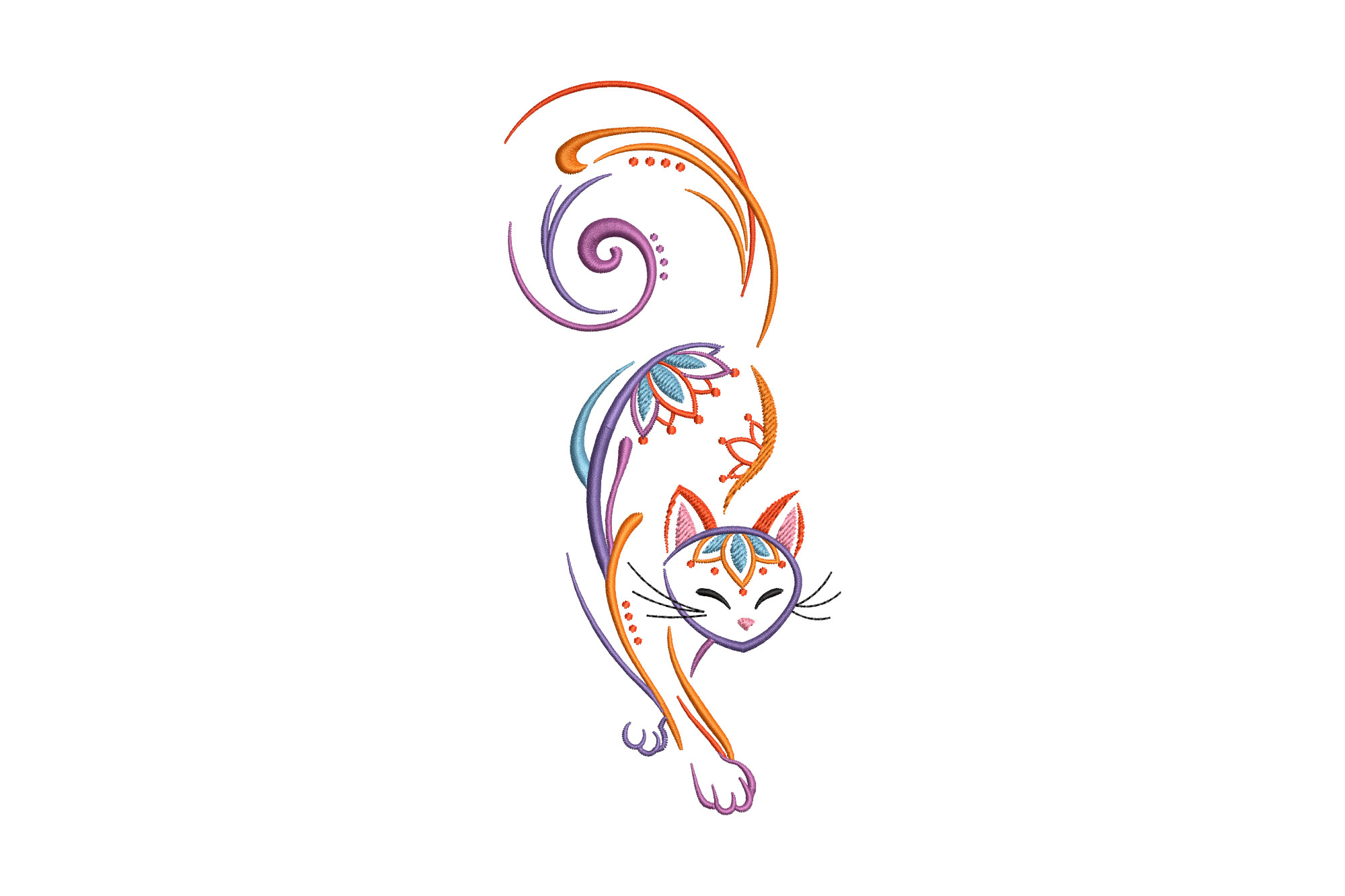 Colorful Cat