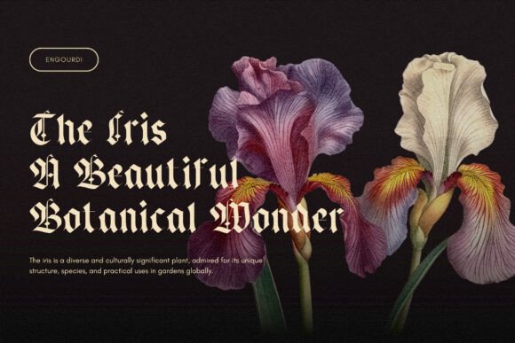 Engourdi Font - Preview 2