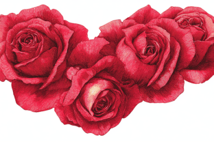 Vintage Red Roses Illustration Graphic by TheDesignerDesigne · Creative ...