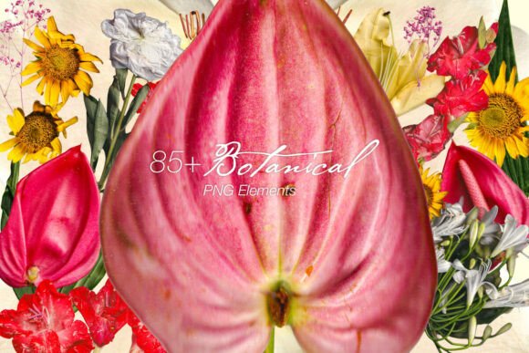 85 Botanical PNG Elements Flower Set