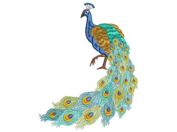 Classic Peacock Embroidery Design
