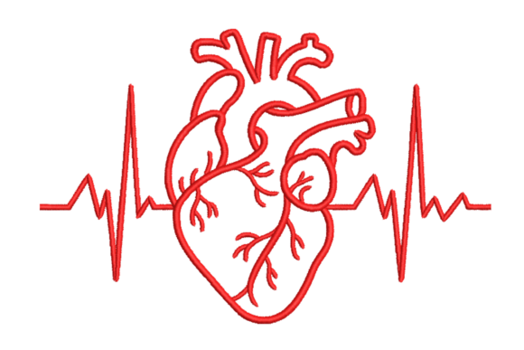 Anatomical Heartbeat