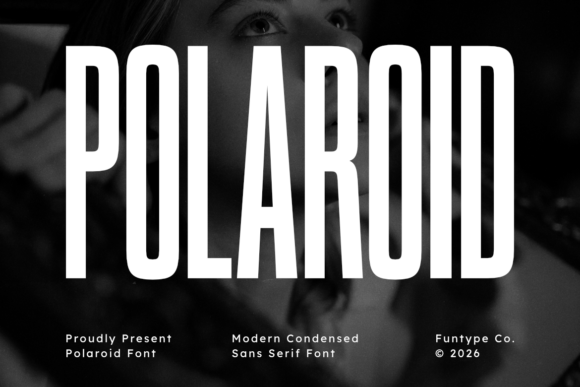 Preview specimen of Polaroid sans serif font