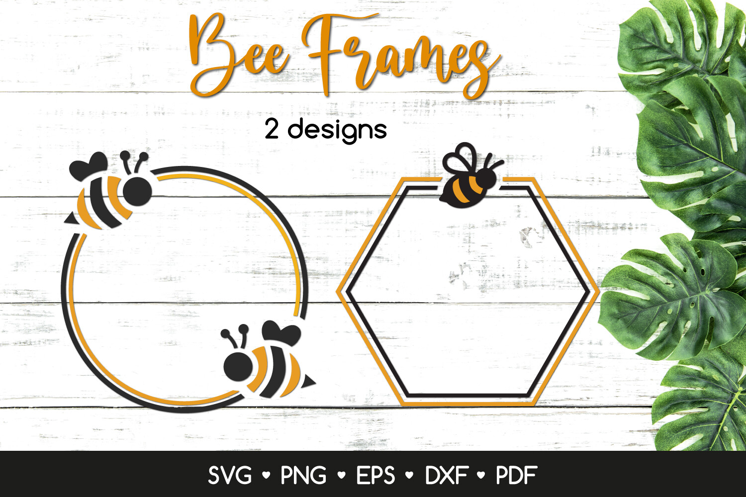 Circle and Hexagon Bee Frames SVG