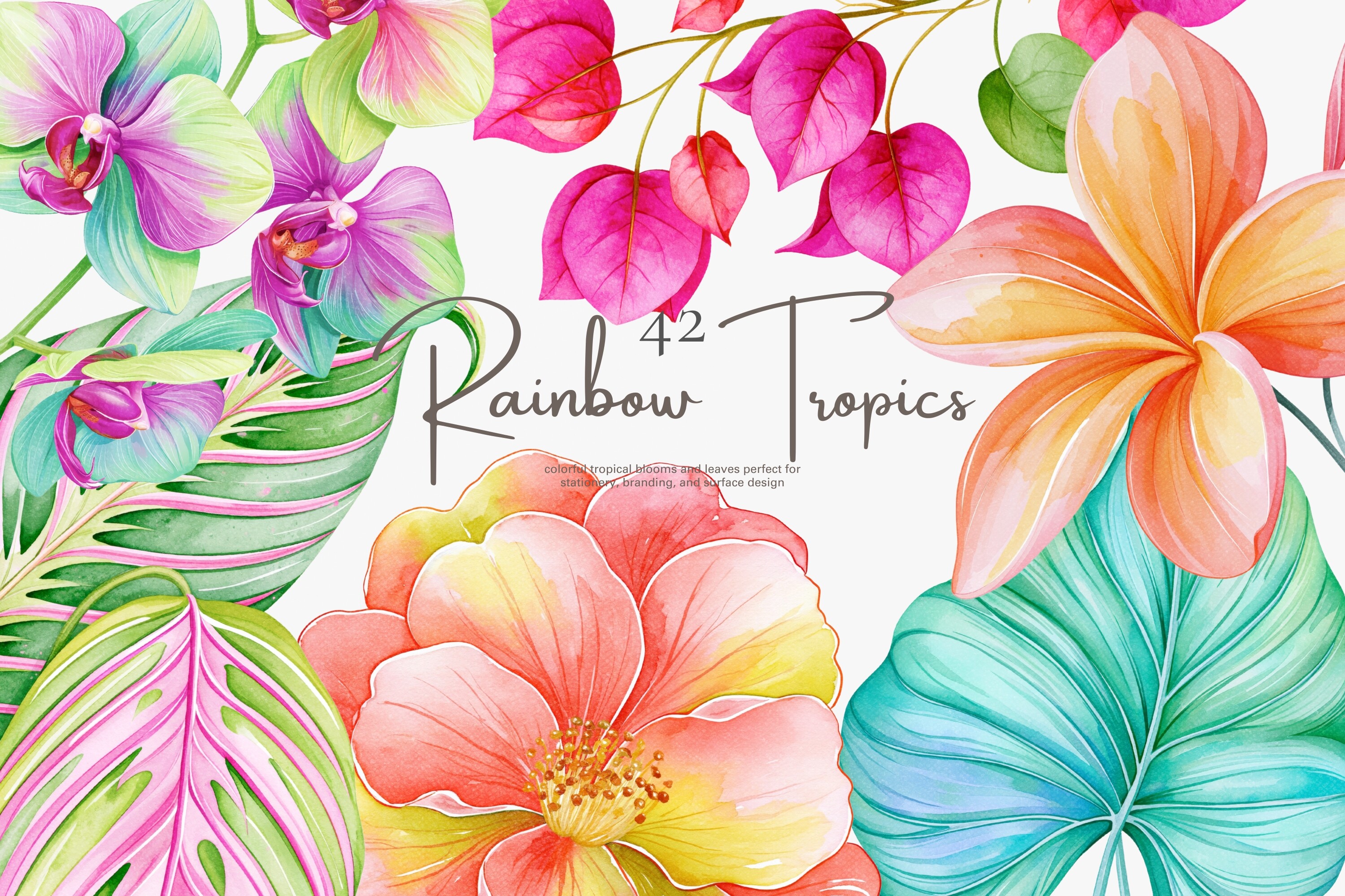 Tropical Flower Clipart Set - photo 1