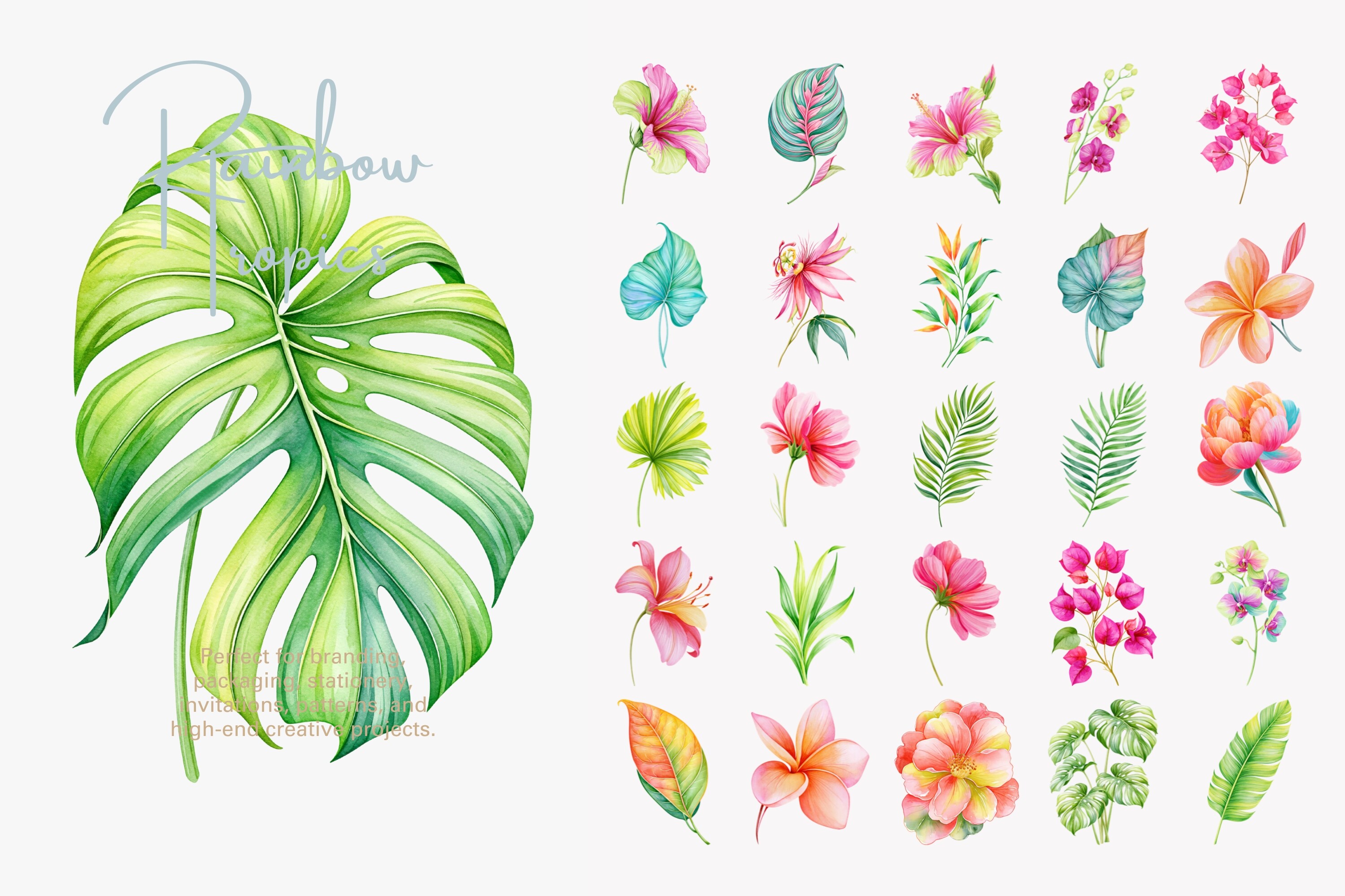 Tropical Flower Clipart Set - photo 2