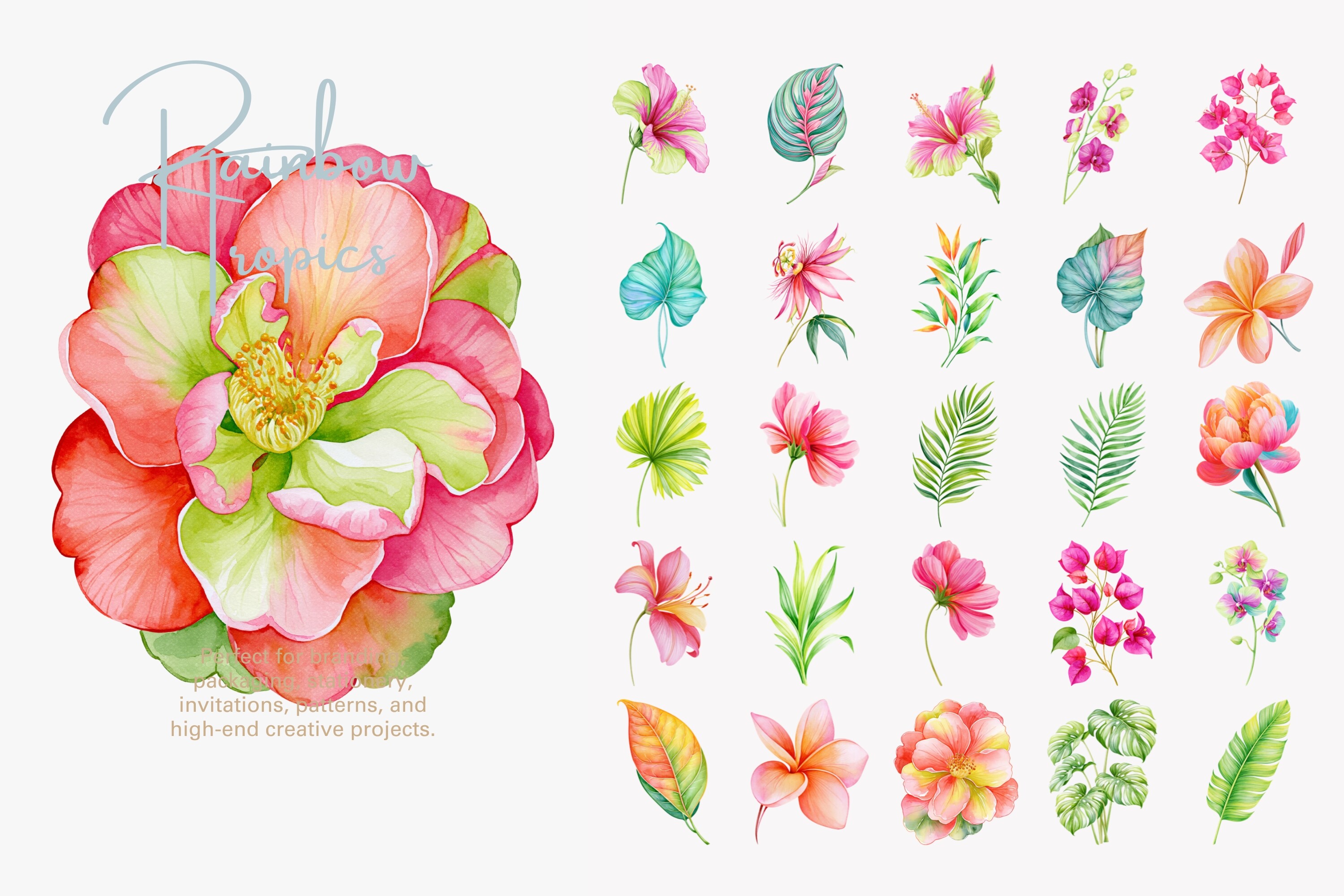 Tropical Flower Clipart Set - photo 3