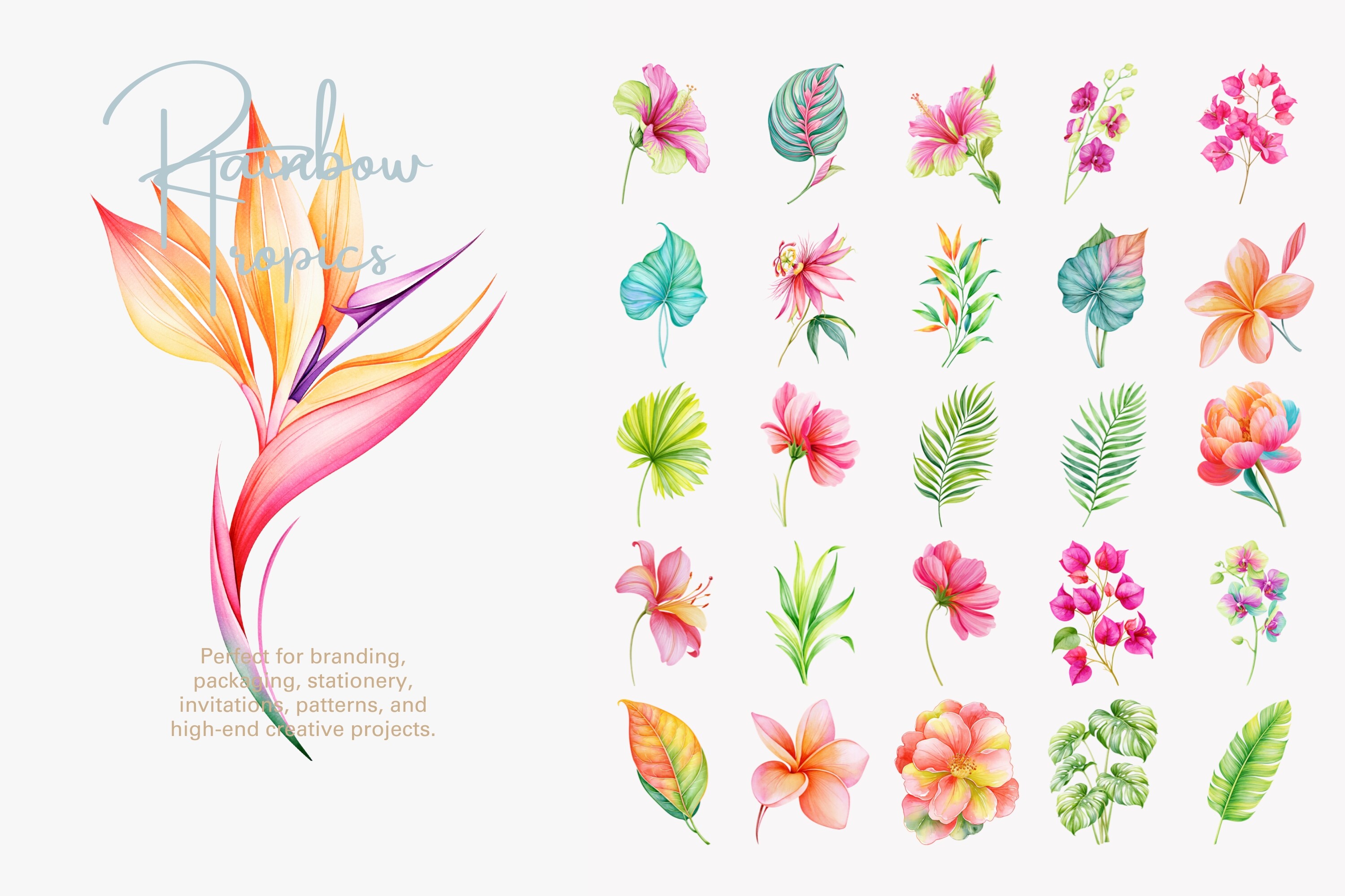 Tropical Flower Clipart Set - photo 4