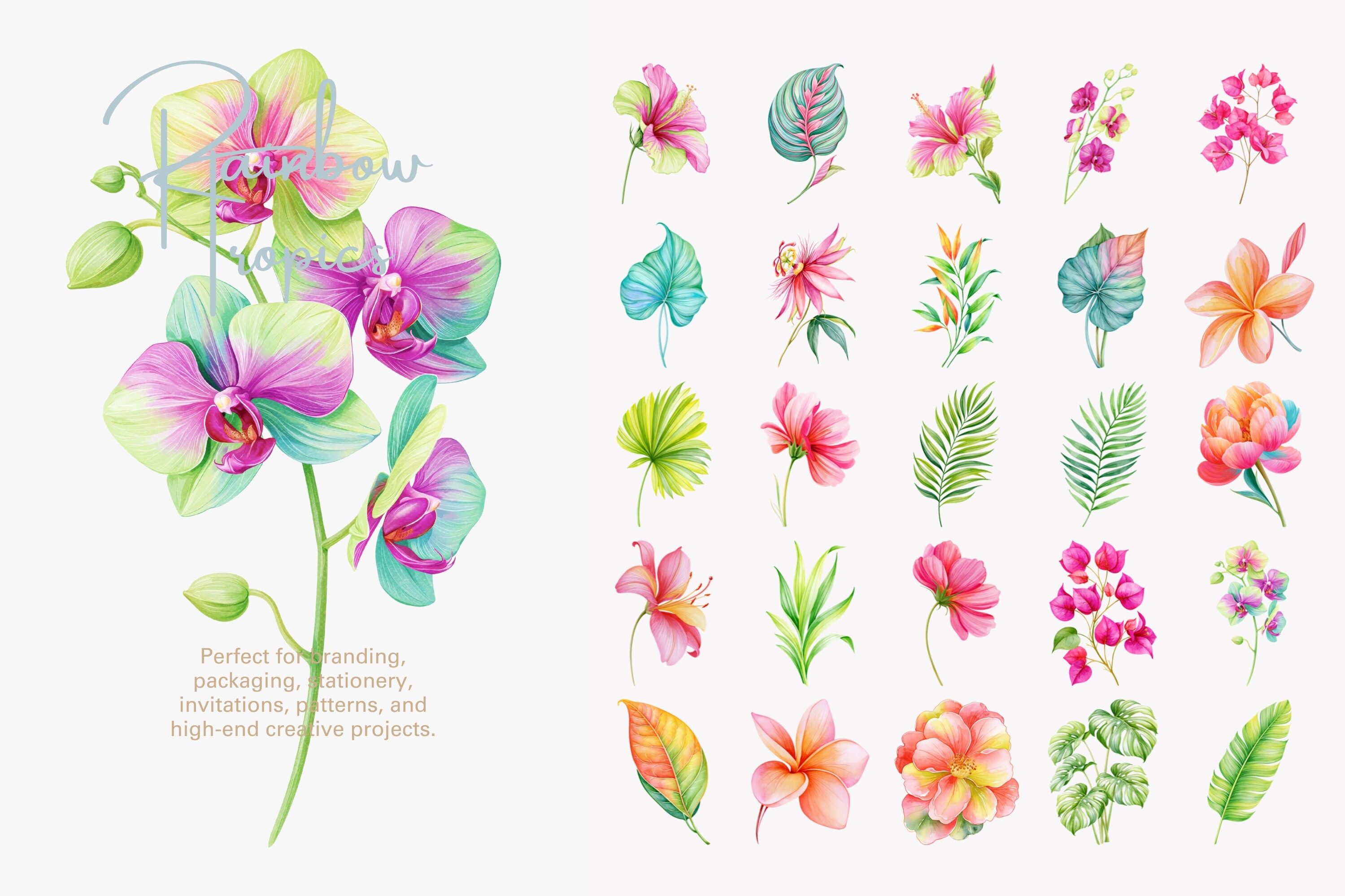 Tropical Flower Clipart Set - photo 5