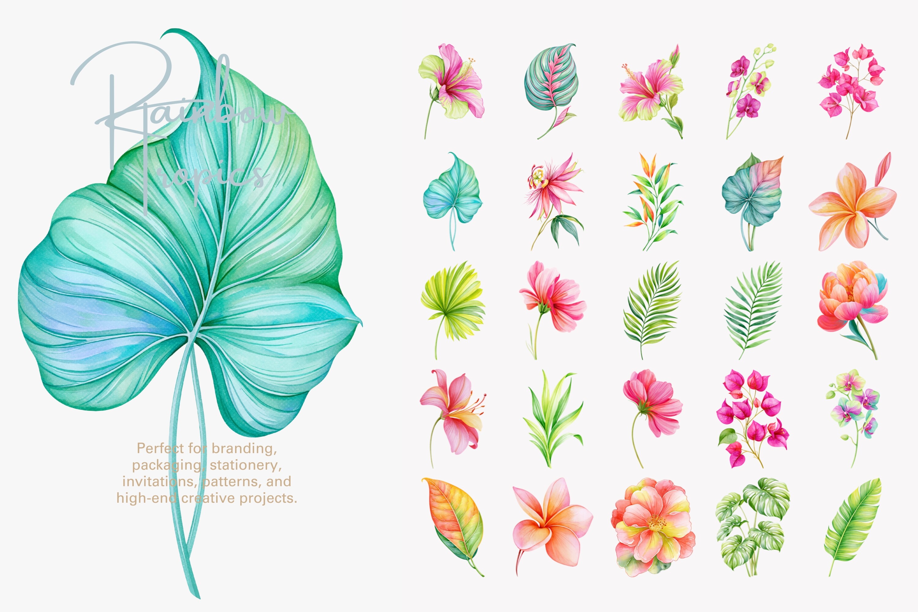 Tropical Flower Clipart Set - photo 6