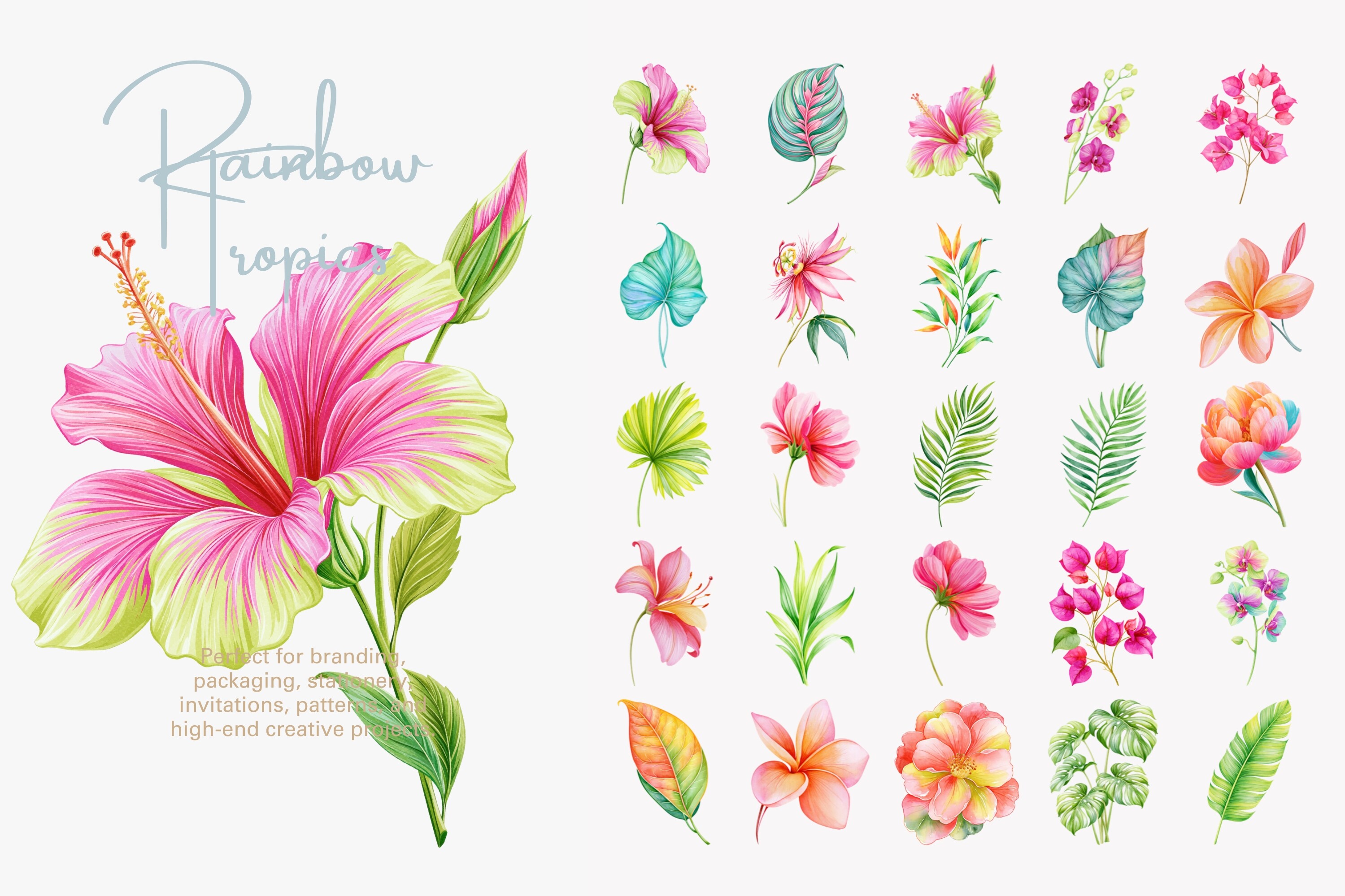Tropical Flower Clipart Set - photo 7