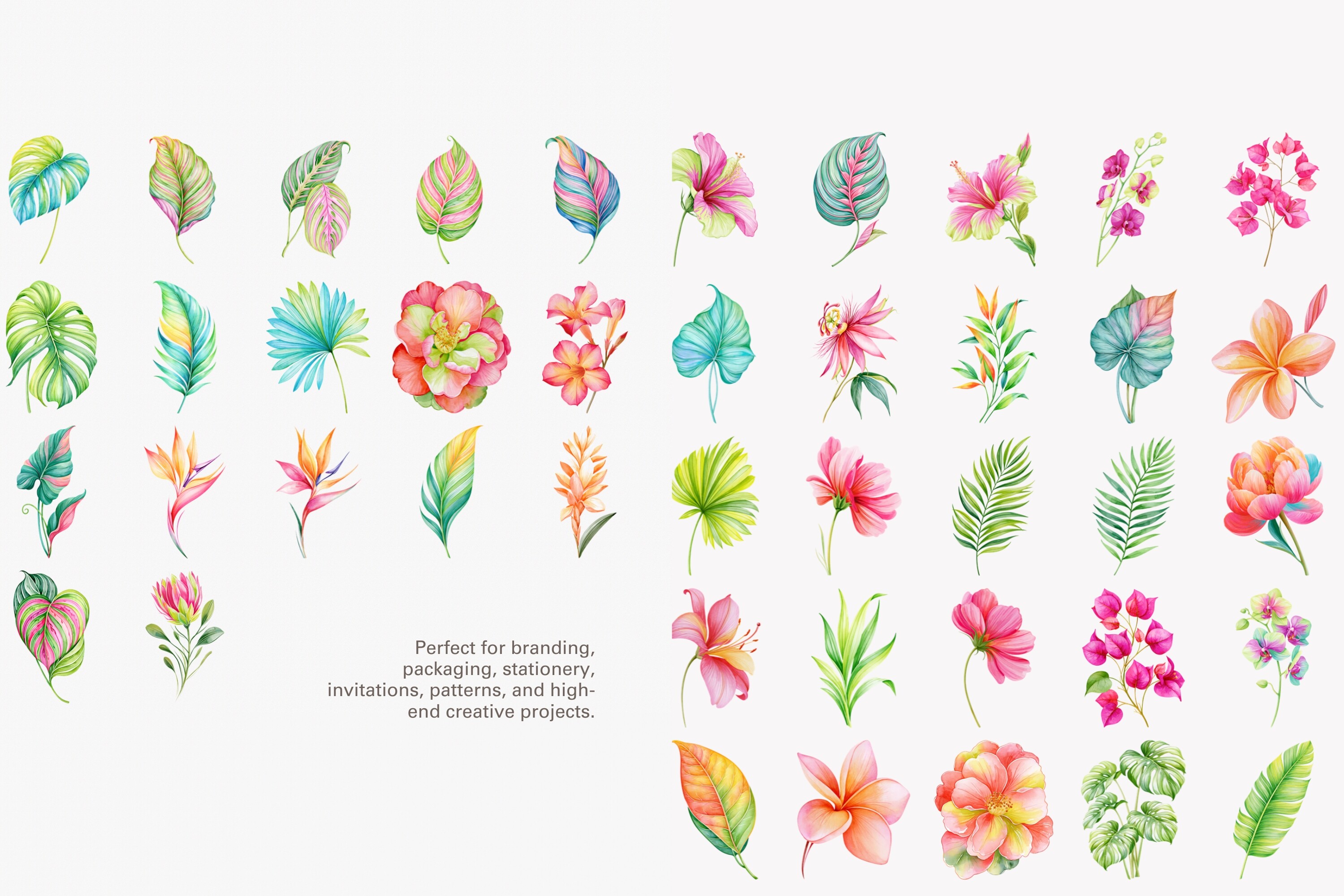 Tropical Flower Clipart Set - photo 8