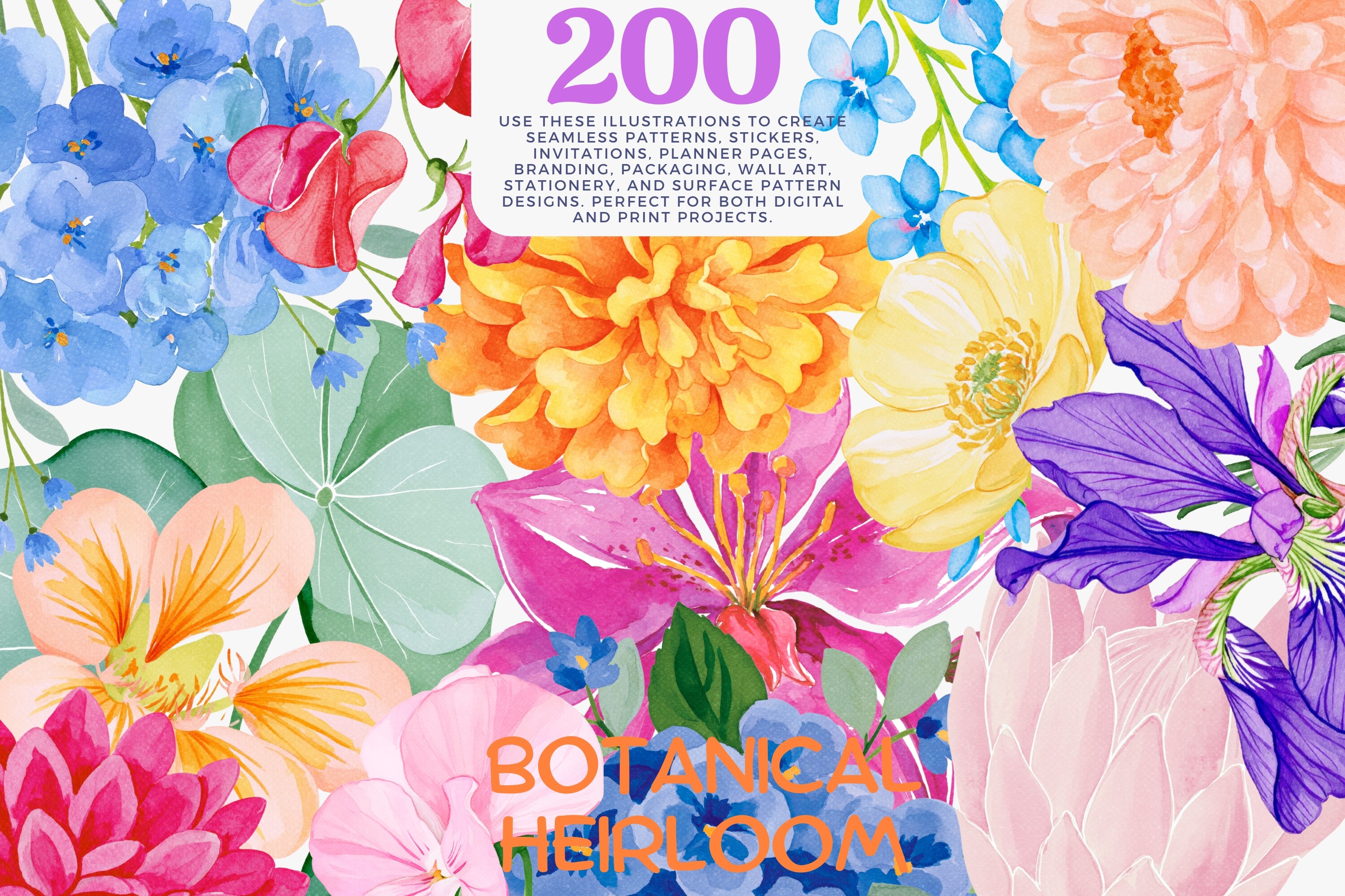 Watercolor Flower Clipart Bundle