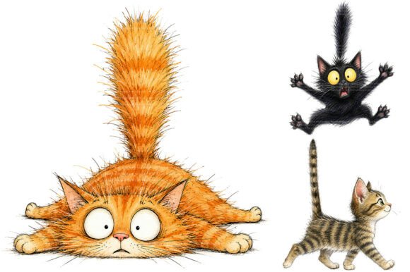 Whimsical Funny Cat PNG Bundle