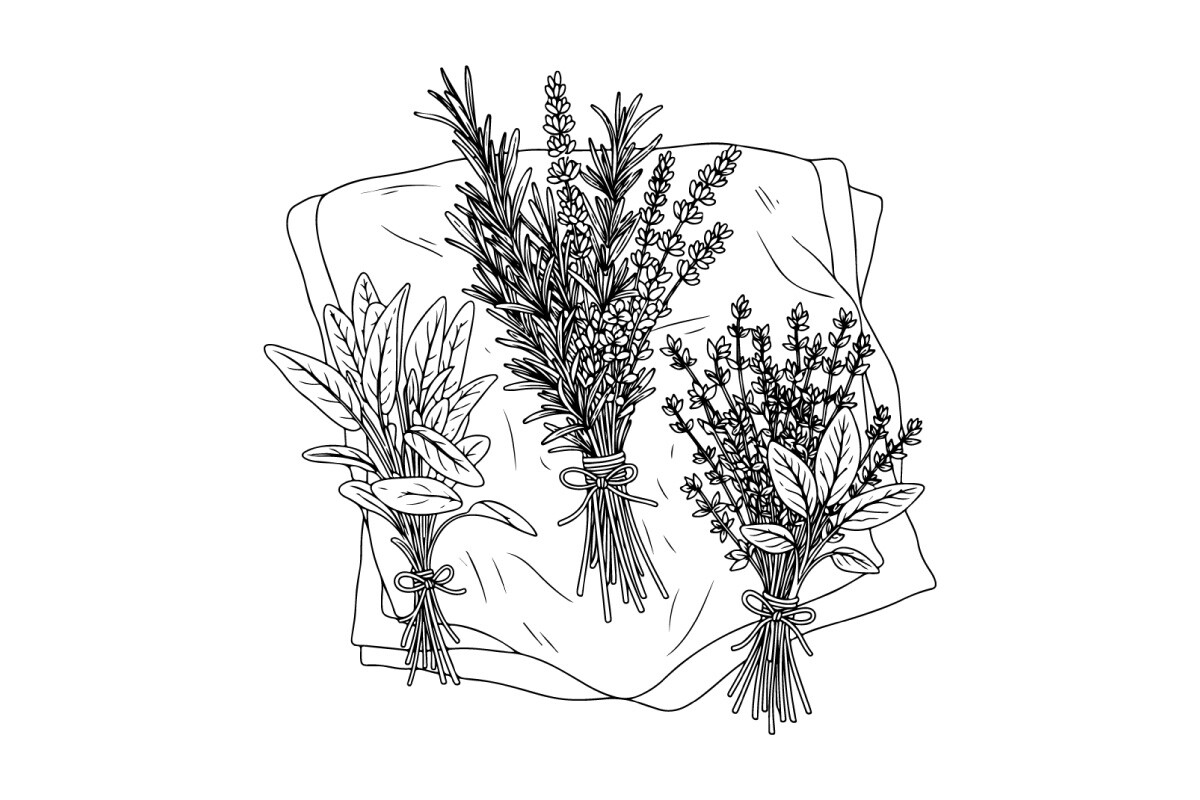 Black and White Botanical Line Drawing C