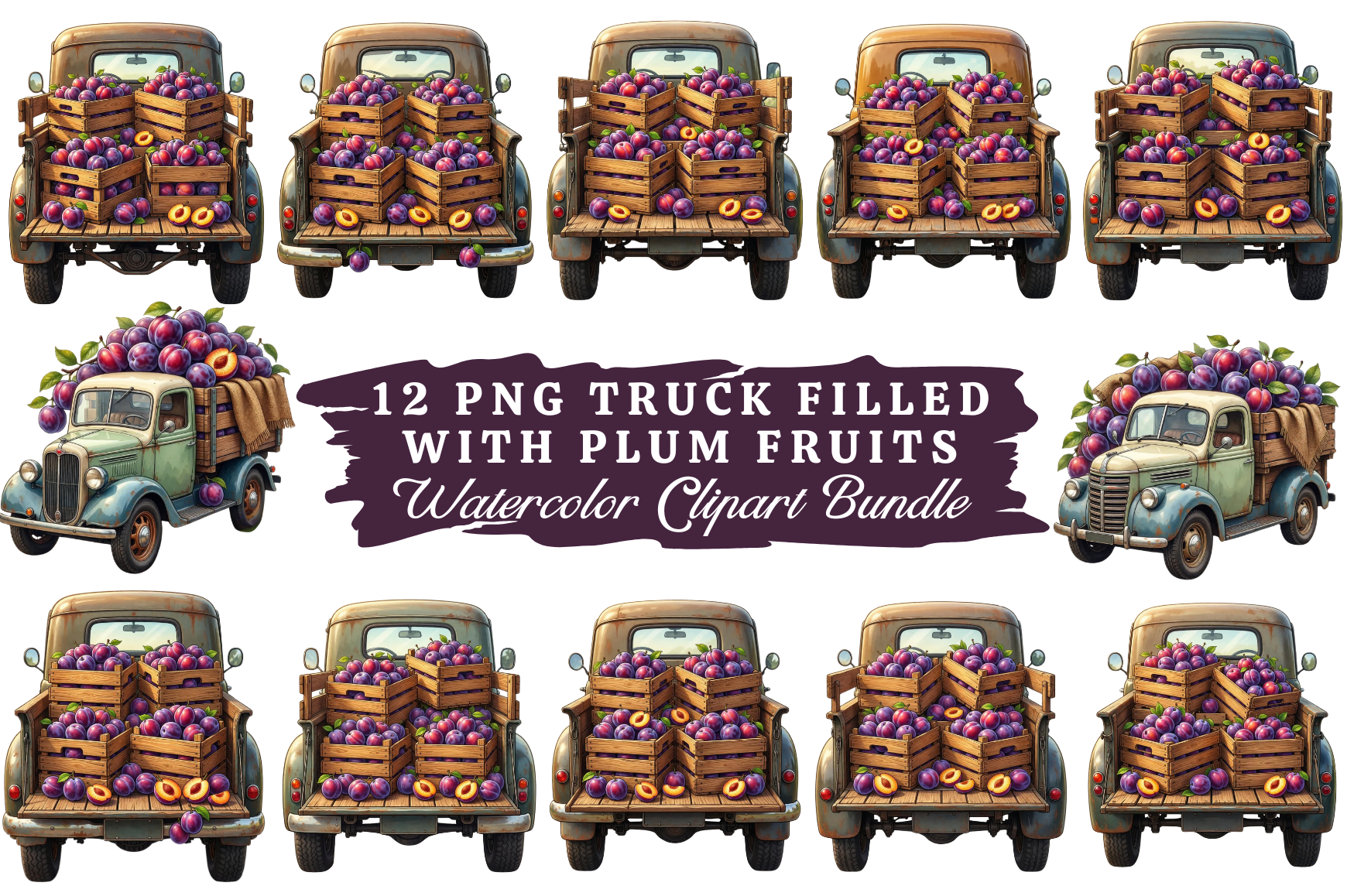 Plum Fruit Watercolor Clipart Bundle #19