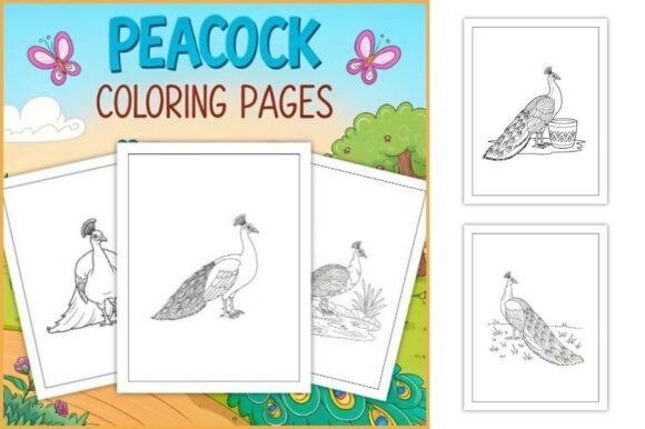 Peacock Coloring Pages for Kids